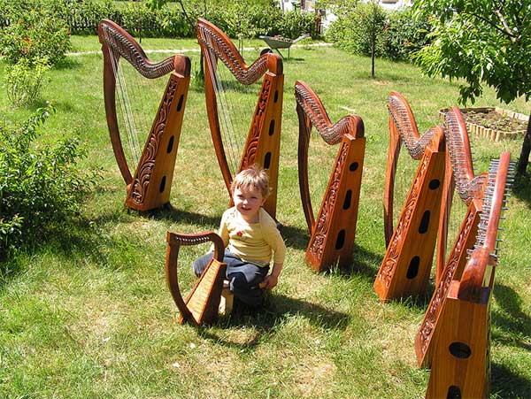 HarpHenge - a collection of harps in the field